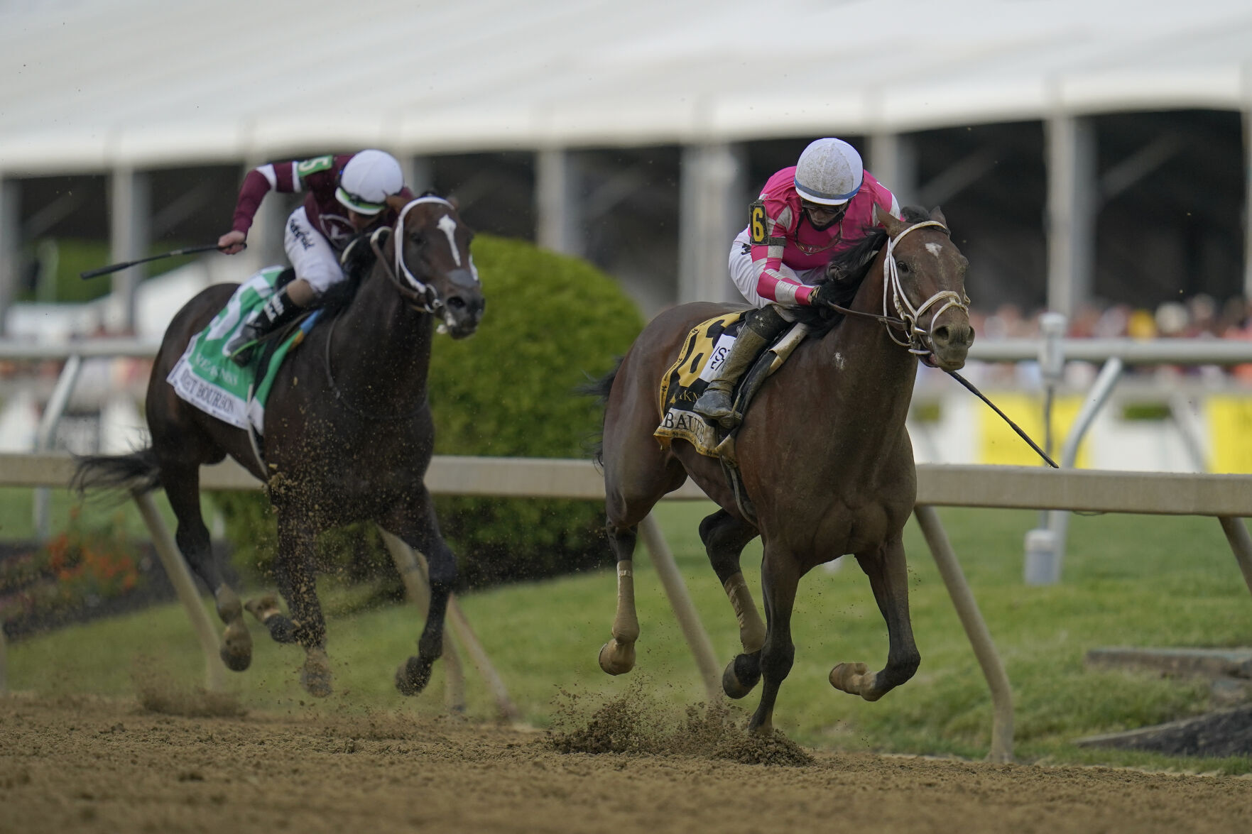 Preakness Stakes Horse Race